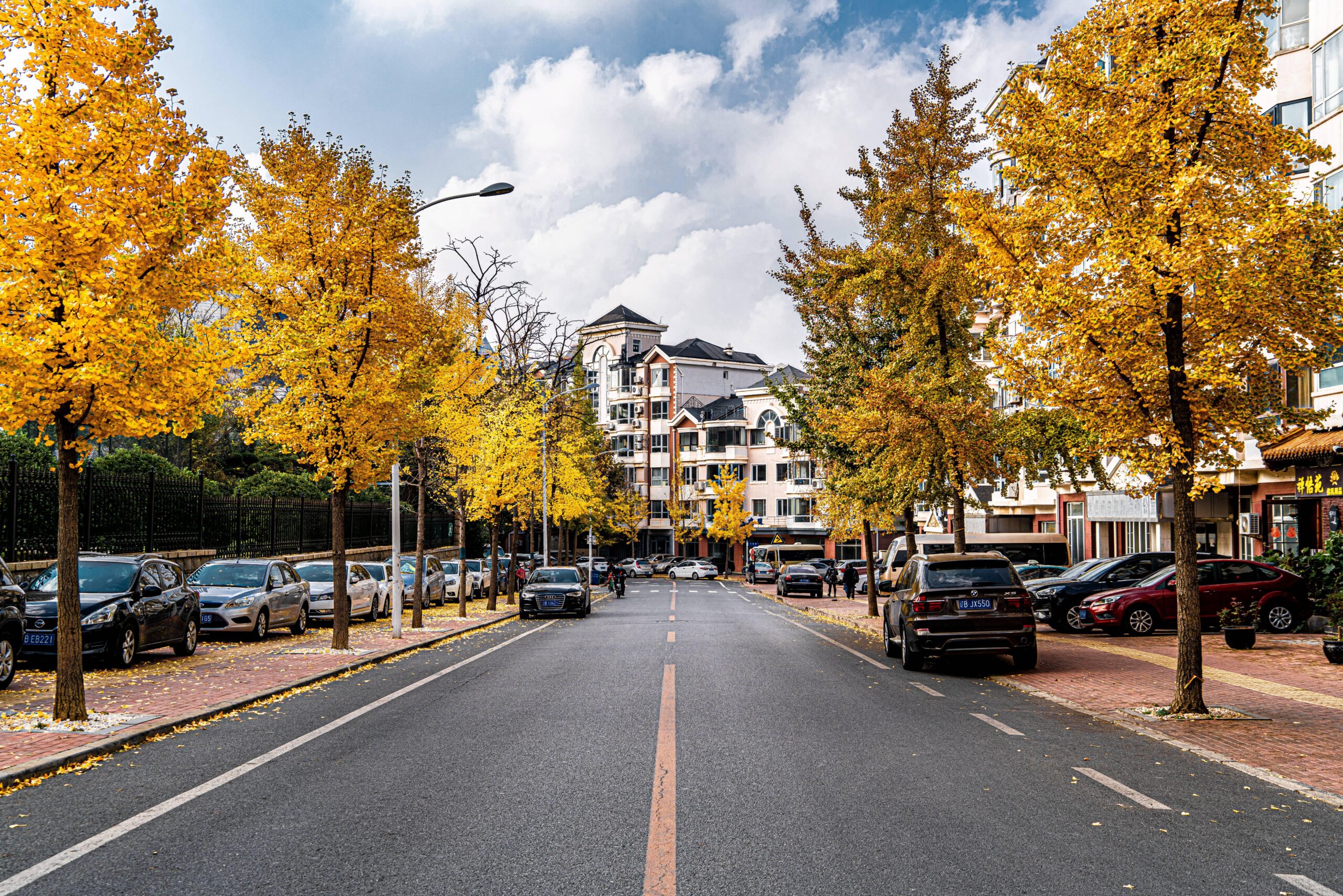 neighborhood