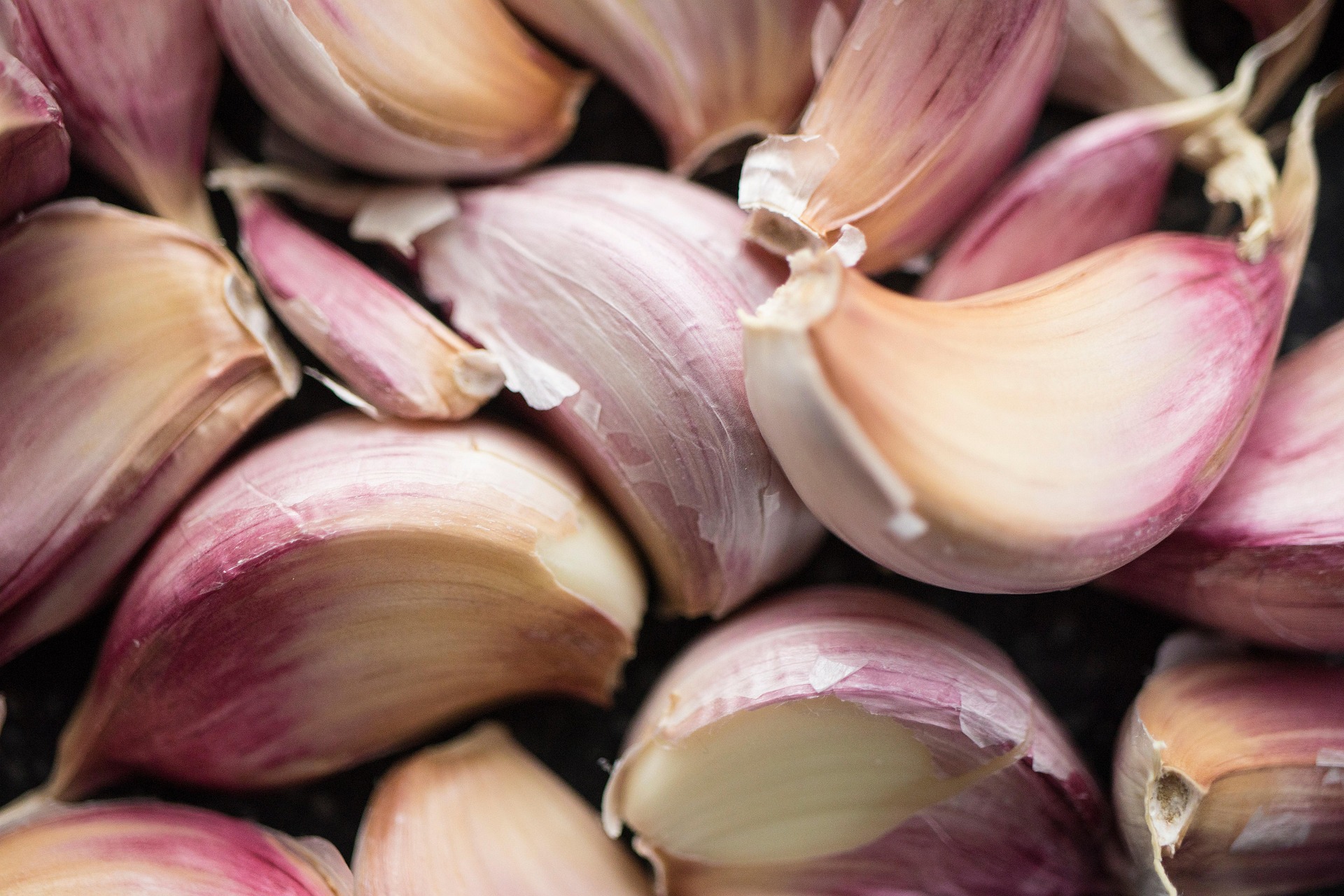 garlic