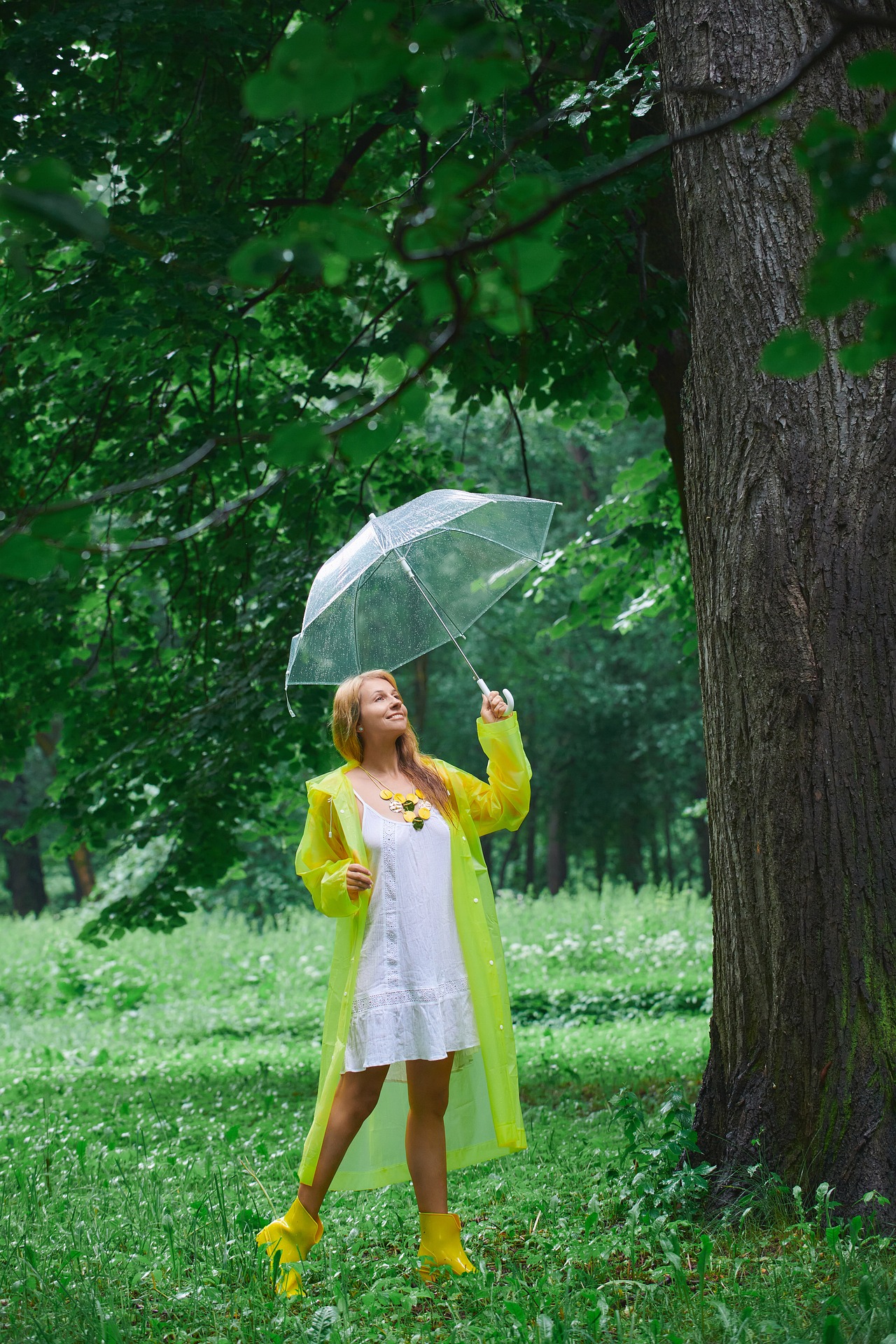 umbrella